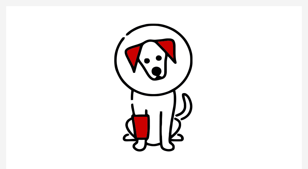 veterinario-chirurgia-ortopedica-alessandria-veterinari-piemonte-servizi-animali-compagnia-ico veterinario-chirurgia-ortopedica-alessandria-veterinari-piemonte-servizi-animali-compagnia-ico
