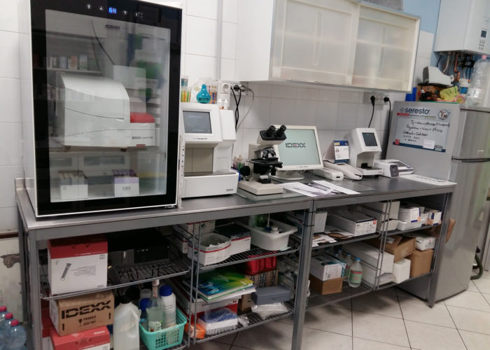 LABORATORIO ANALISI