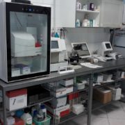 LABORATORIO ANALISI LABORATORIO ANALISI