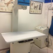 RADIOLOGIA DIGITALE RADIOLOGIA DIGITALE